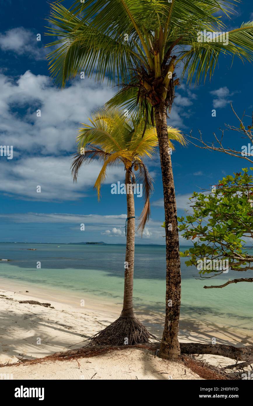 Scenic View Of Beach Against Sky, Bocas del Toro Island, Panama, Central America Stock Photo