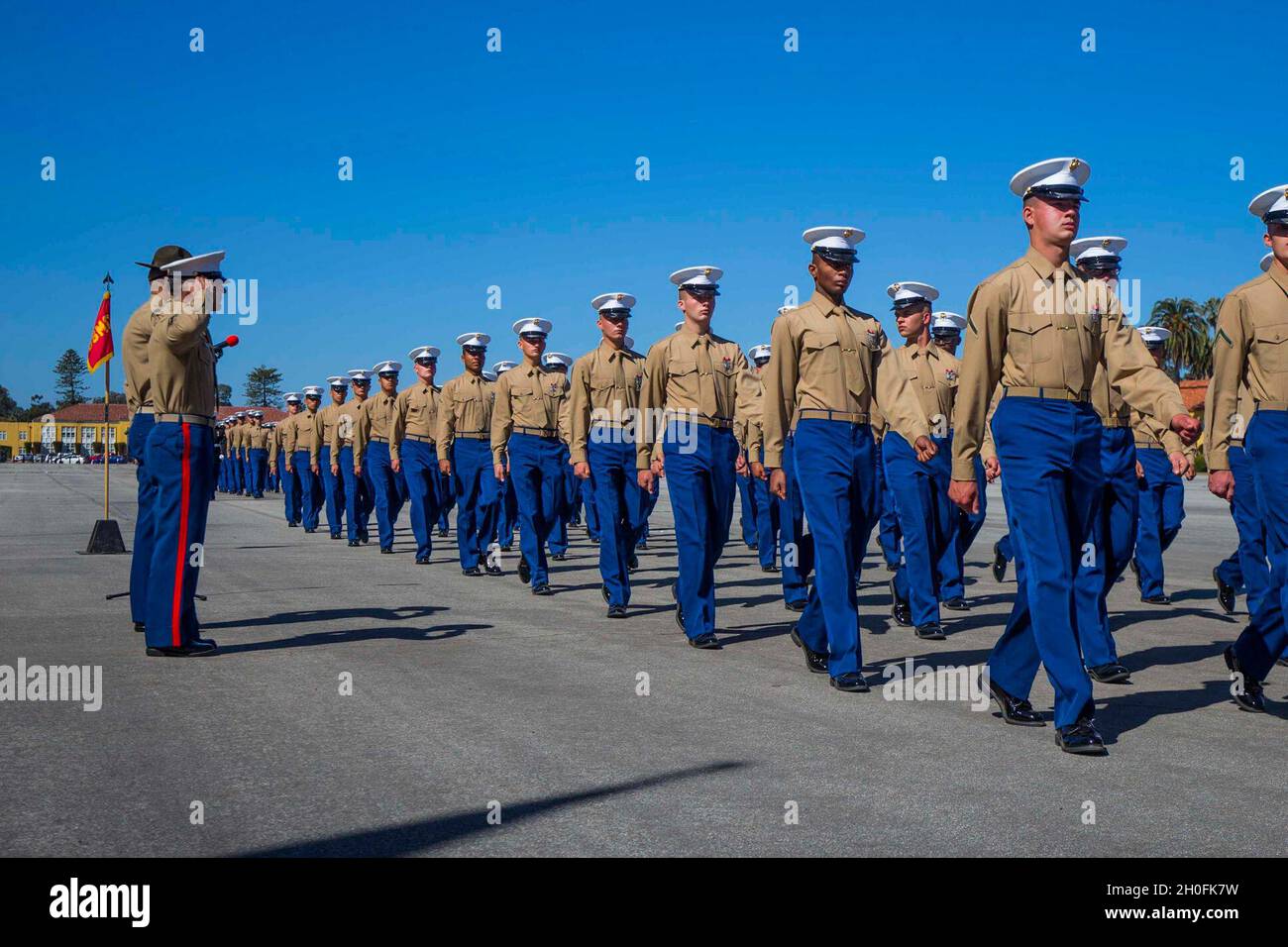 dress blue deltas female Female Officer Full Dress Blue
