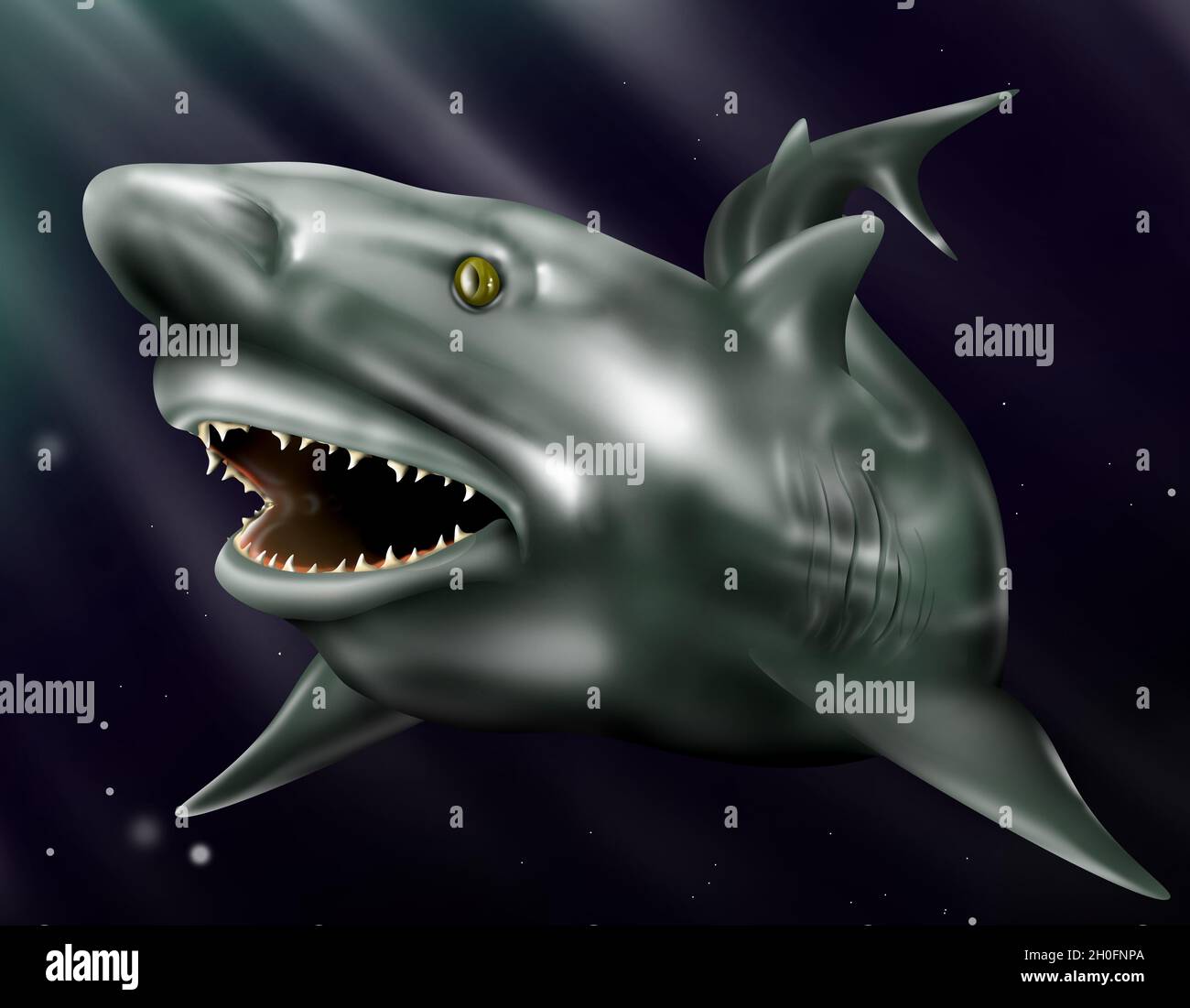 Bull shark mouth, Carcharhinus leucas or  Zambezi shark" (informally "zambi"), illustration in blue ocean, most aggressive shark. Stock Photo