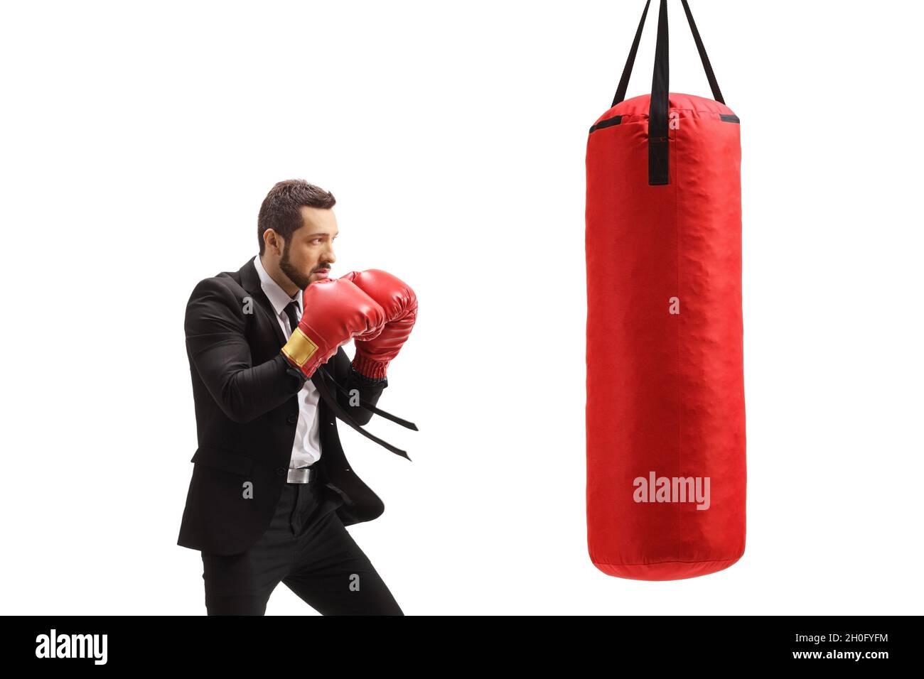 Professional man in a suit training box with a punching bag isolated on  white background Stock Photo - Alamy