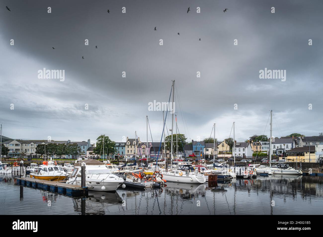 Yachts and sailboats moored in small, beautiful marina in Ballycastle town with birds flying over, Antrim, Northern Ireland Stock Photo