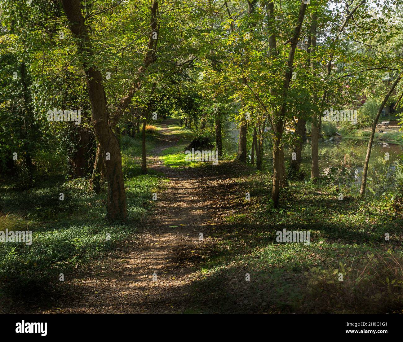 Quiet, colorful woodland path, in beckoning dappled sunlight, leads into the distance beside a gentle stream. Stock Photo