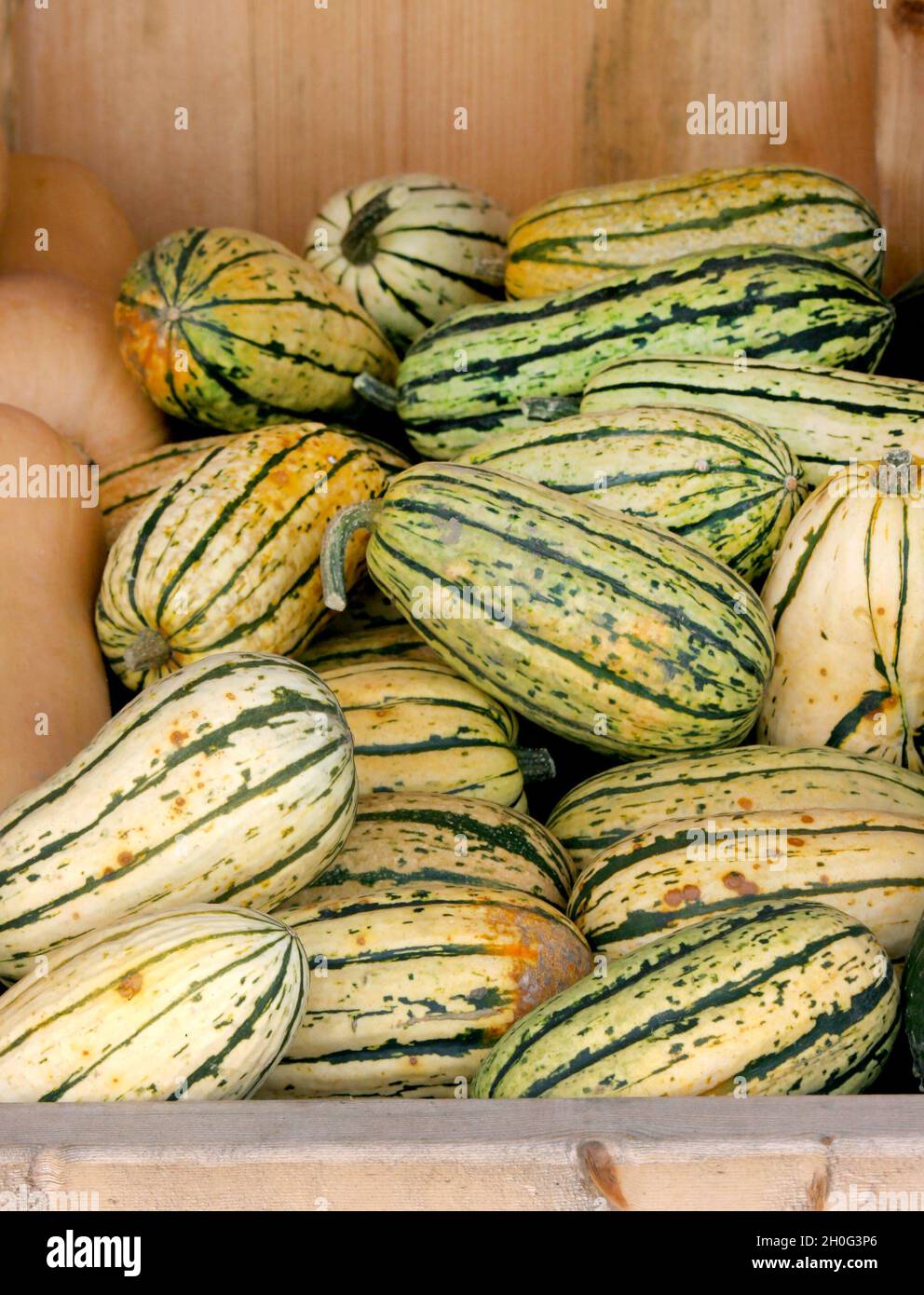 Pile of sweet potato squash delicata at roadside stand Stock Photo