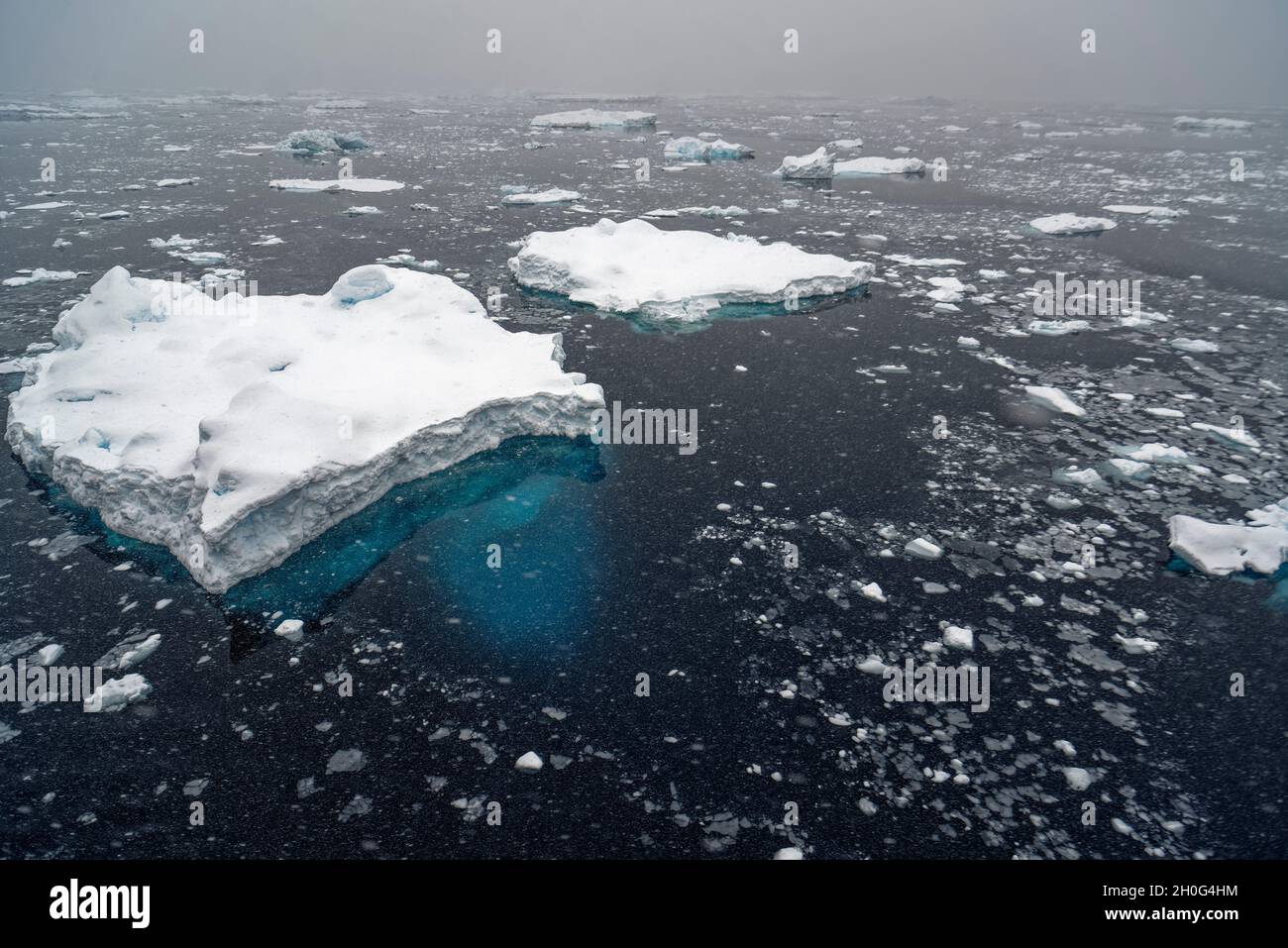 Drift ice and  icebergs during snowfall. Southern Ocean, Antarctica Stock Photo