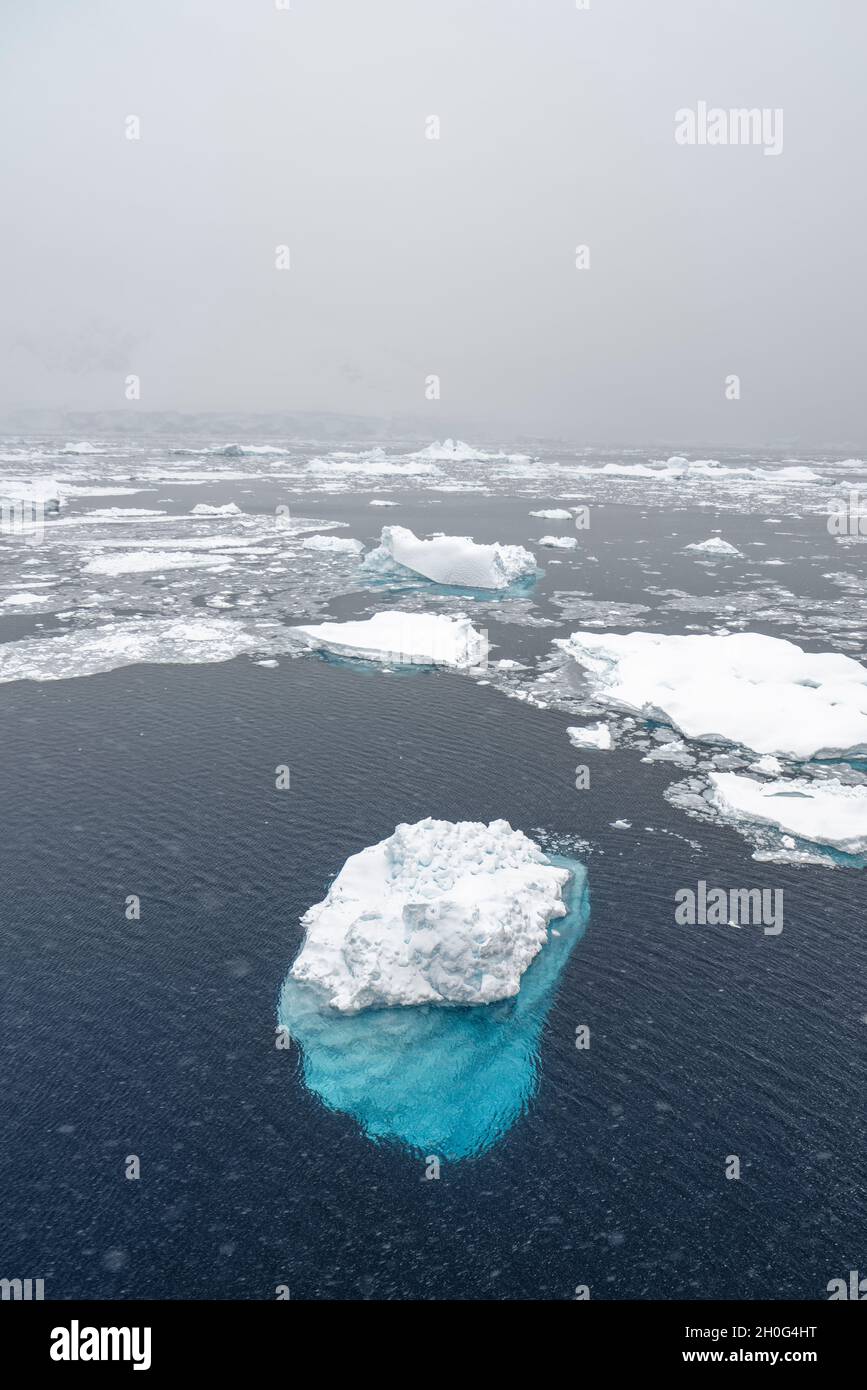 Drift ice and small icebergs during snowfall. Southern Ocean, Antarctica Stock Photo
