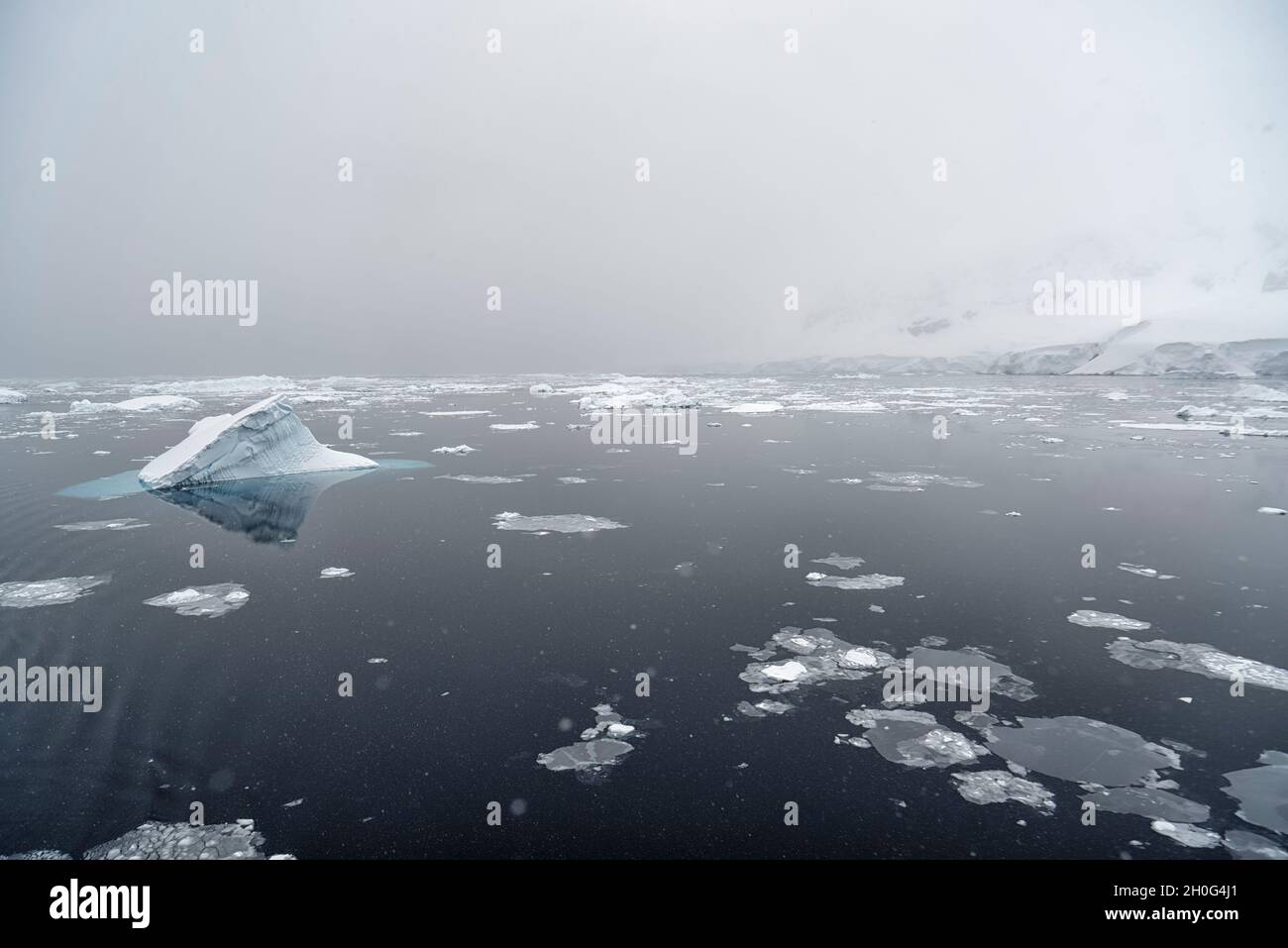 Drift ice and small iceberg during snowfall. Southern Ocean, Antarctica Stock Photo