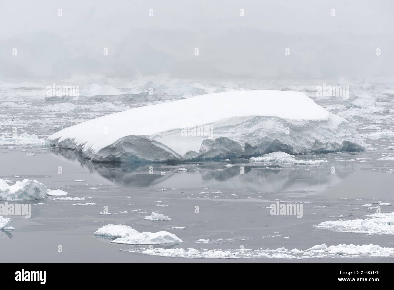 Drift ice and icebergs during snowfall. Southern Ocean, Antarctica Stock Photo