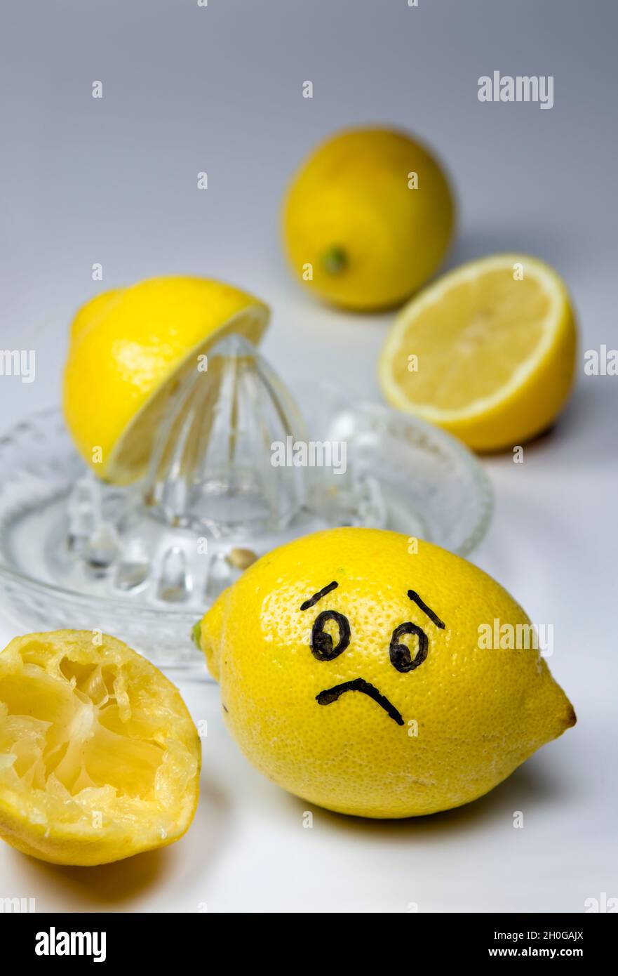 Unhappy Lemon watching other lemons being cut up and squeezed Stock Photo