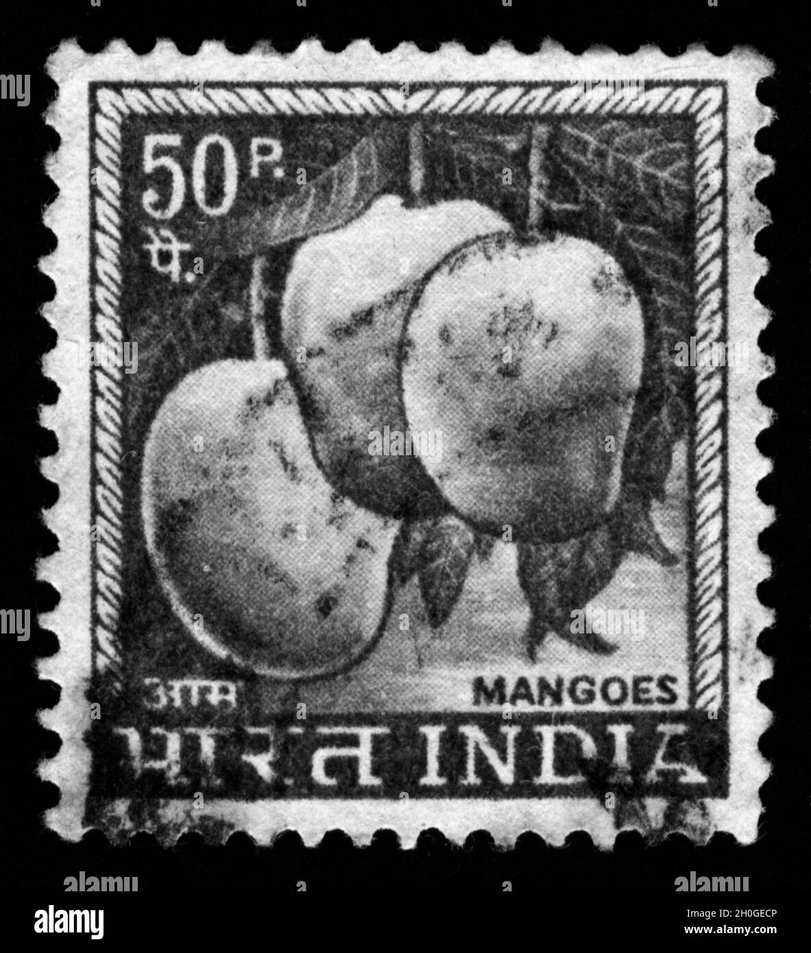 Mango Black and White Stock Photos & Images Alamy