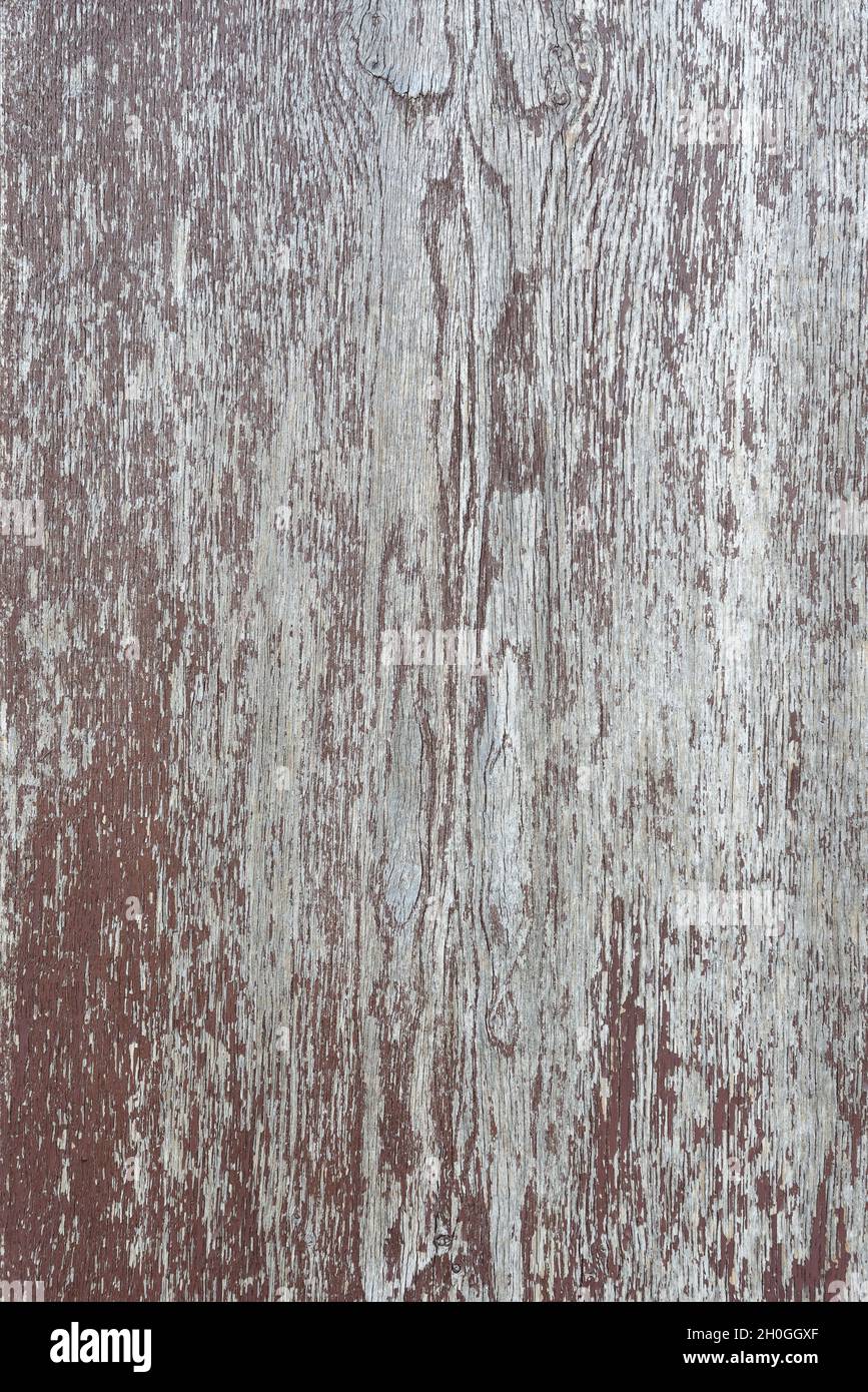 Old wood wall texture and background Stock Photo