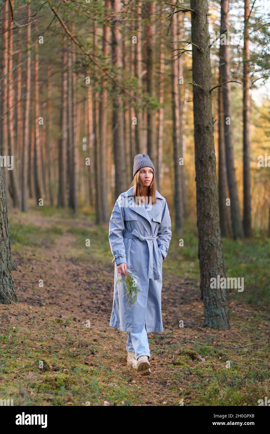 Pine forest walk hi-res stock photography and images - Alamy