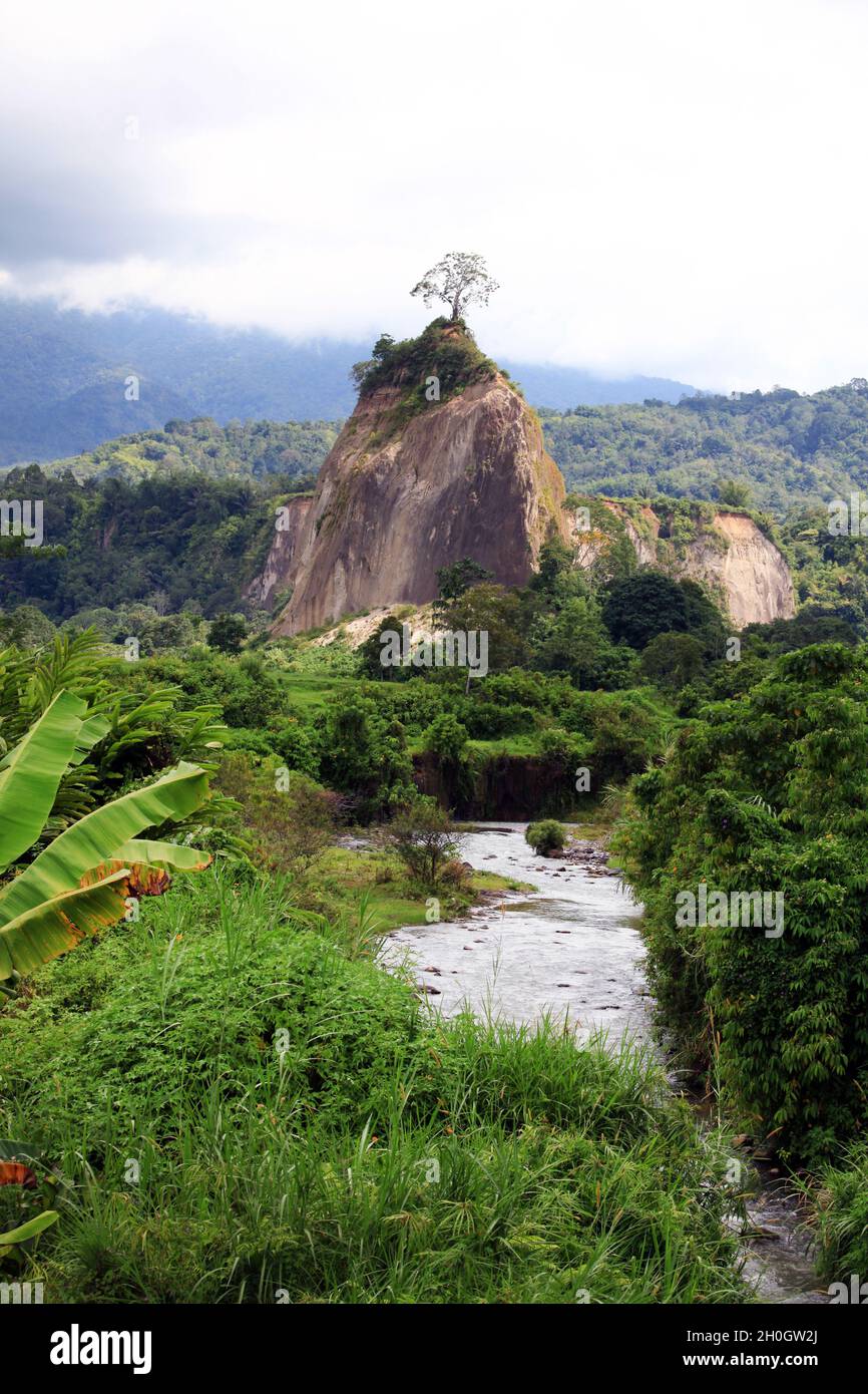 Ngarai Sianok or the Sianok Valley with vast forests, volcanoes, mountains and rivers at Bukittinggi, West Sumatra, Indonesia. Stock Photo