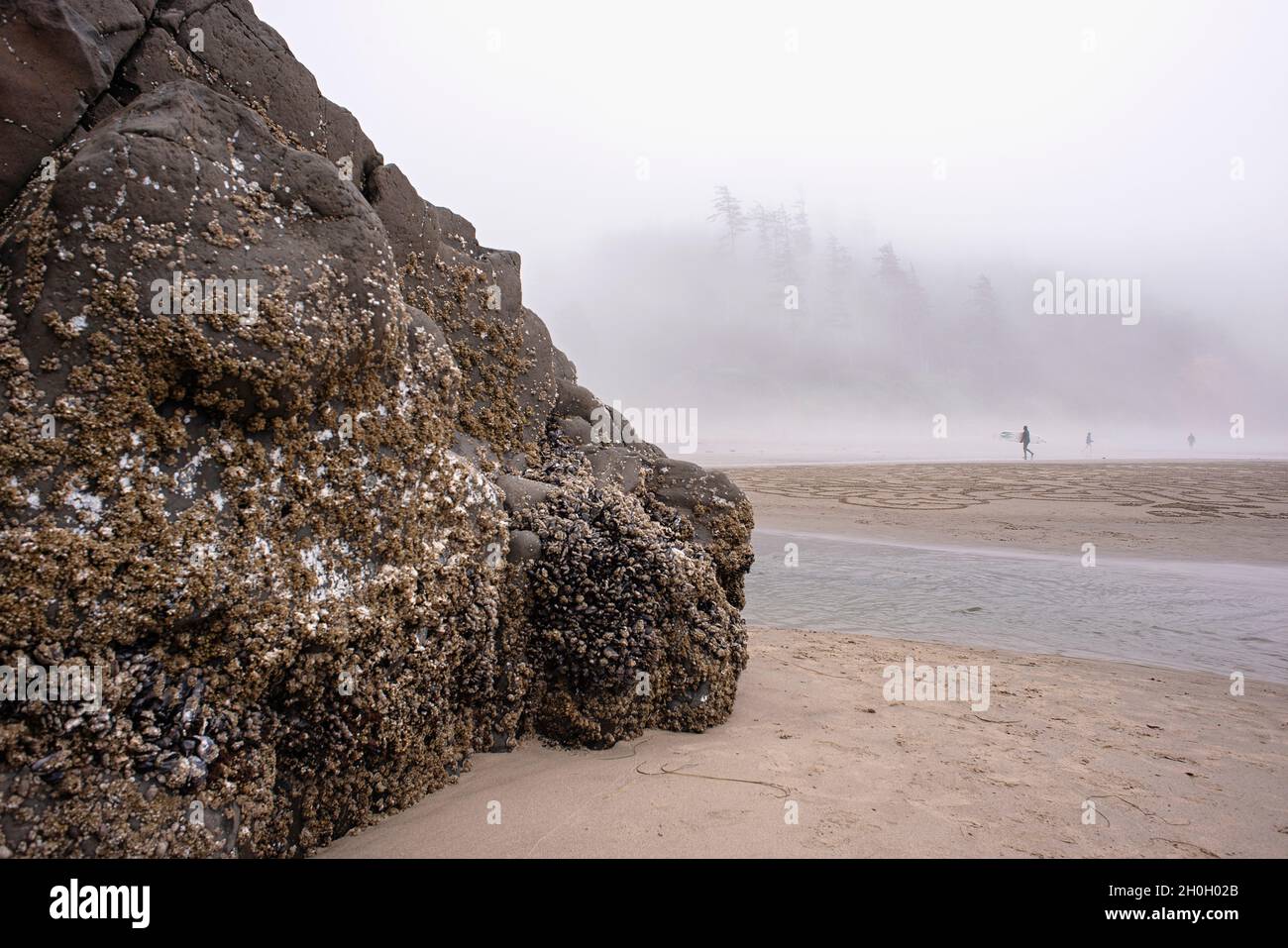Indian Beach in Oregon, USA Stock Photo