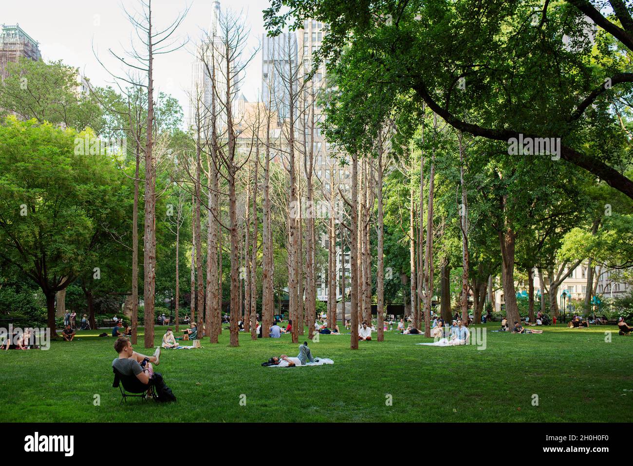 People hanging out and enjoying Ghost Forest by Maya Lin in Madison Square Park, New York City June 2021. Stock Photo