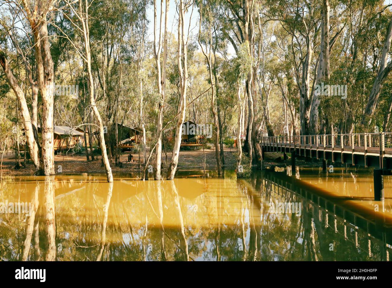 Glamping tents set up on the Gunbower Creek at Koondrook Victoria