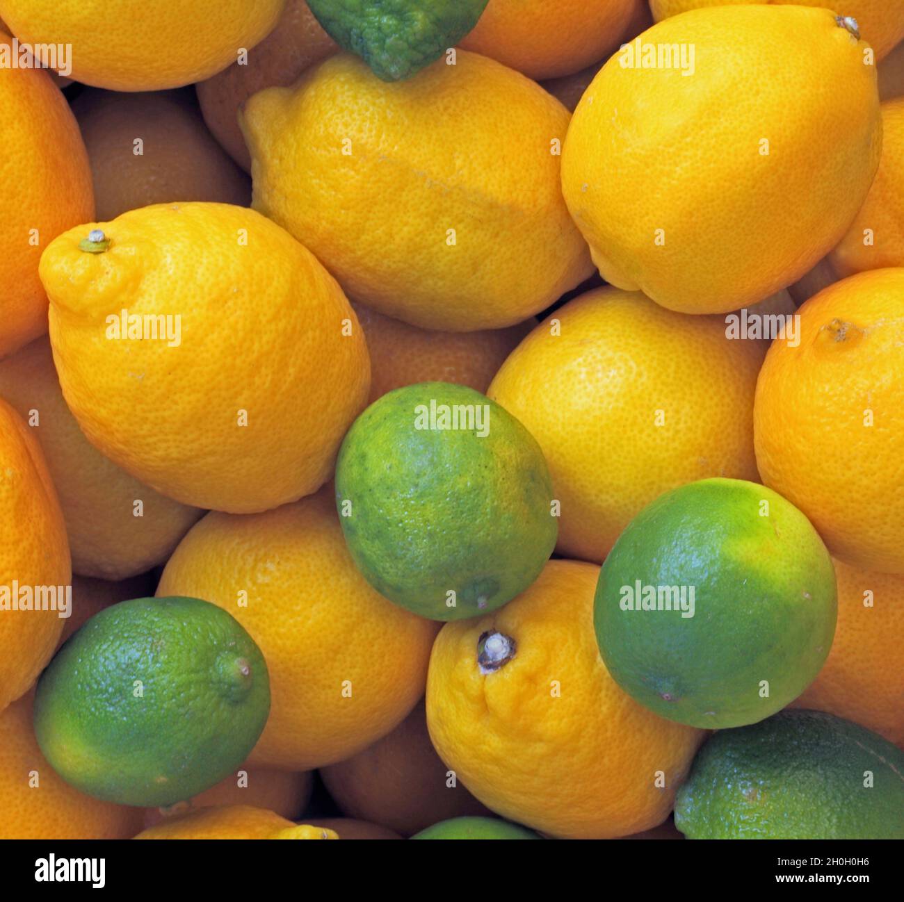 Lemons, Limes, farm shop display, fruit Stock Photo