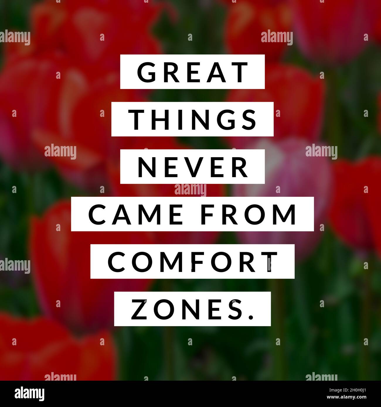 Motivational quotes.great things never came from comfort zones Stock Photo  - Alamy
