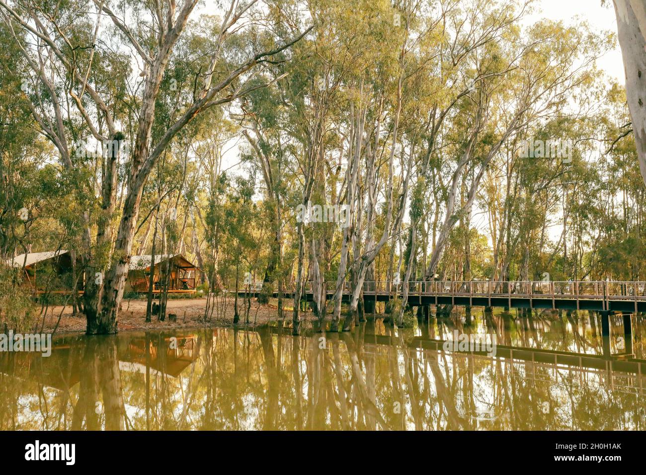 Glamping tents set up on the Gunbower Creek at Koondrook Victoria