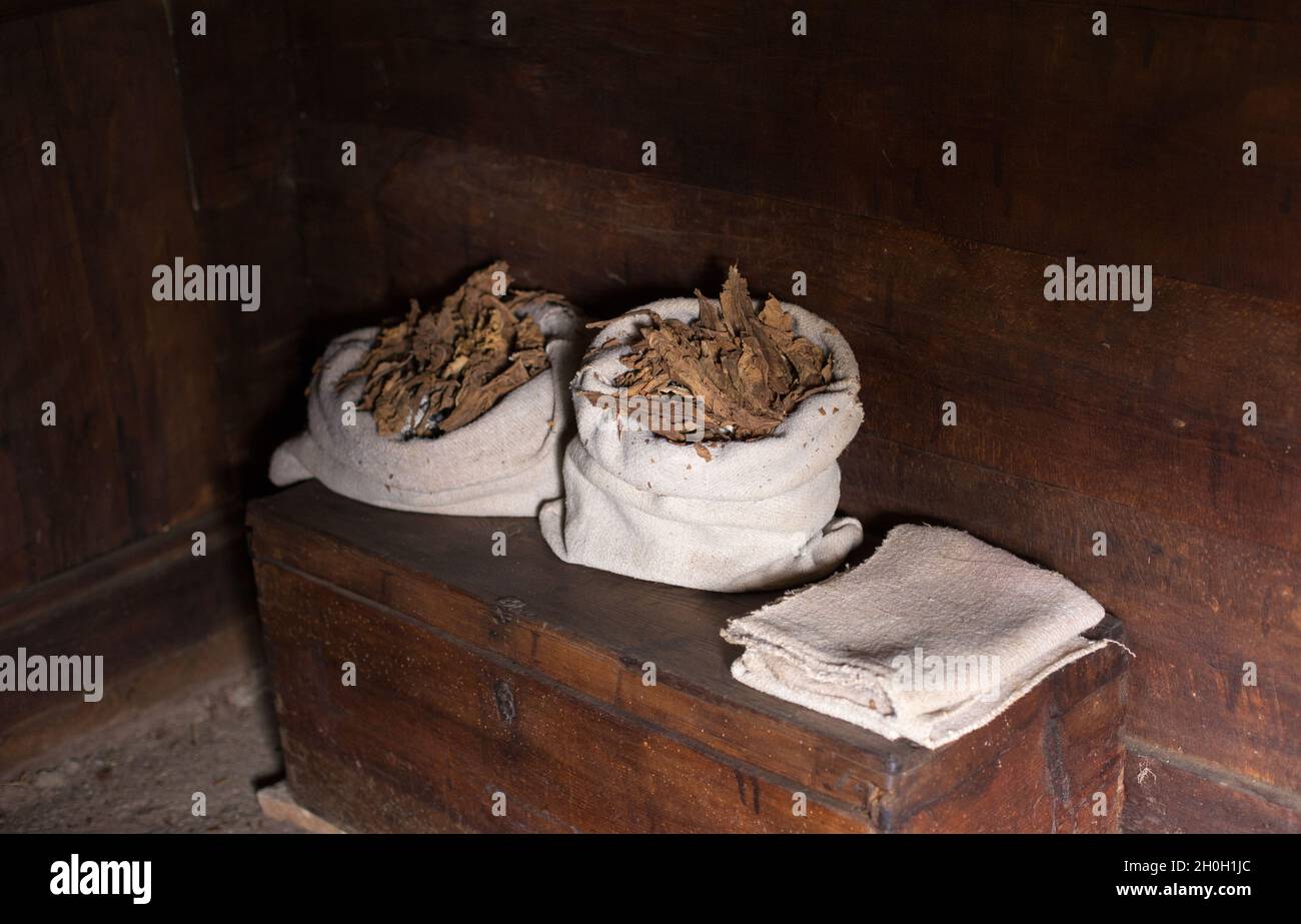 Dry tobacco leaves in sacks on old wooden crate Stock Photo
