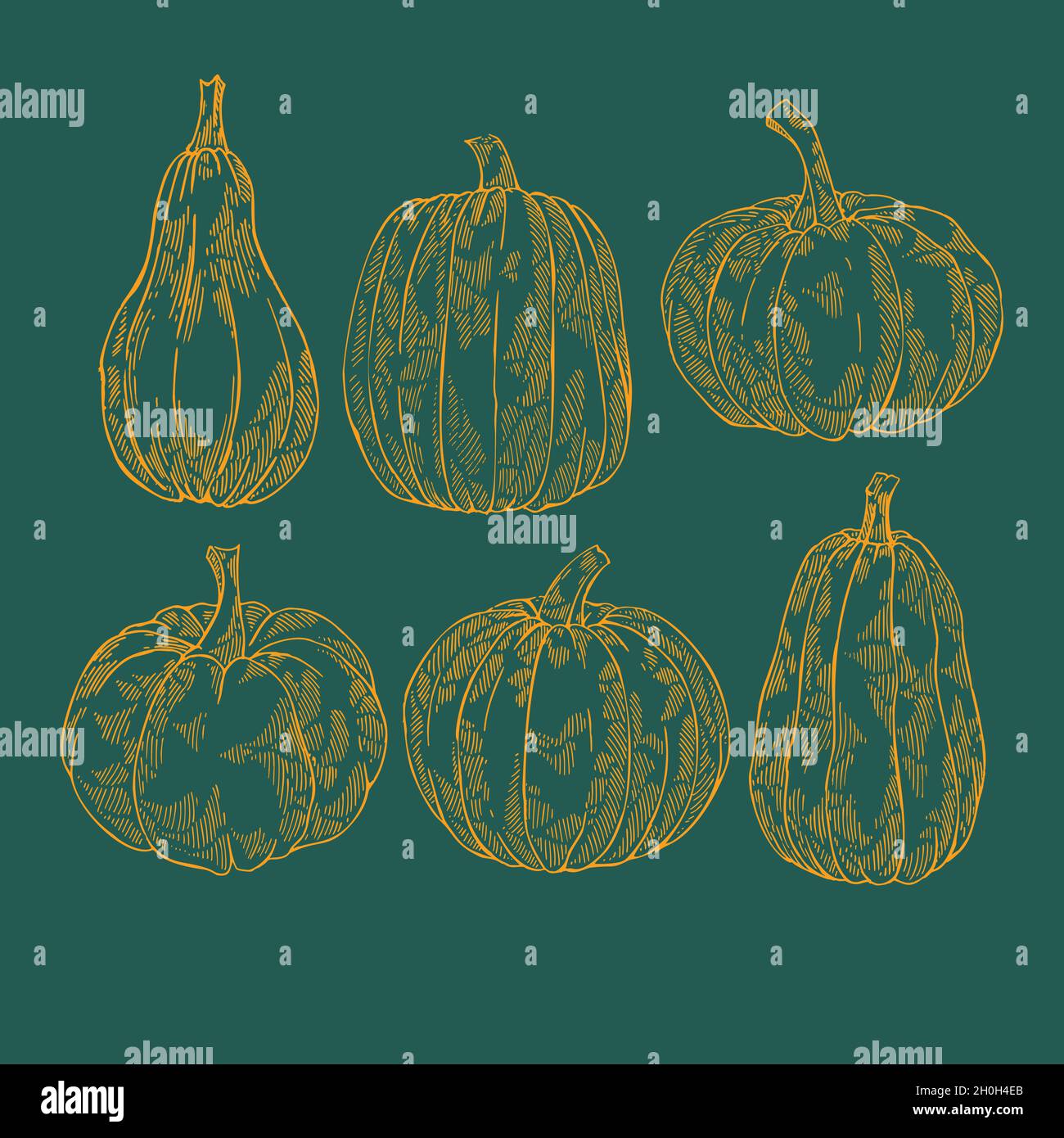 hand drawn halloween pumpkin collection vector design illustration ...