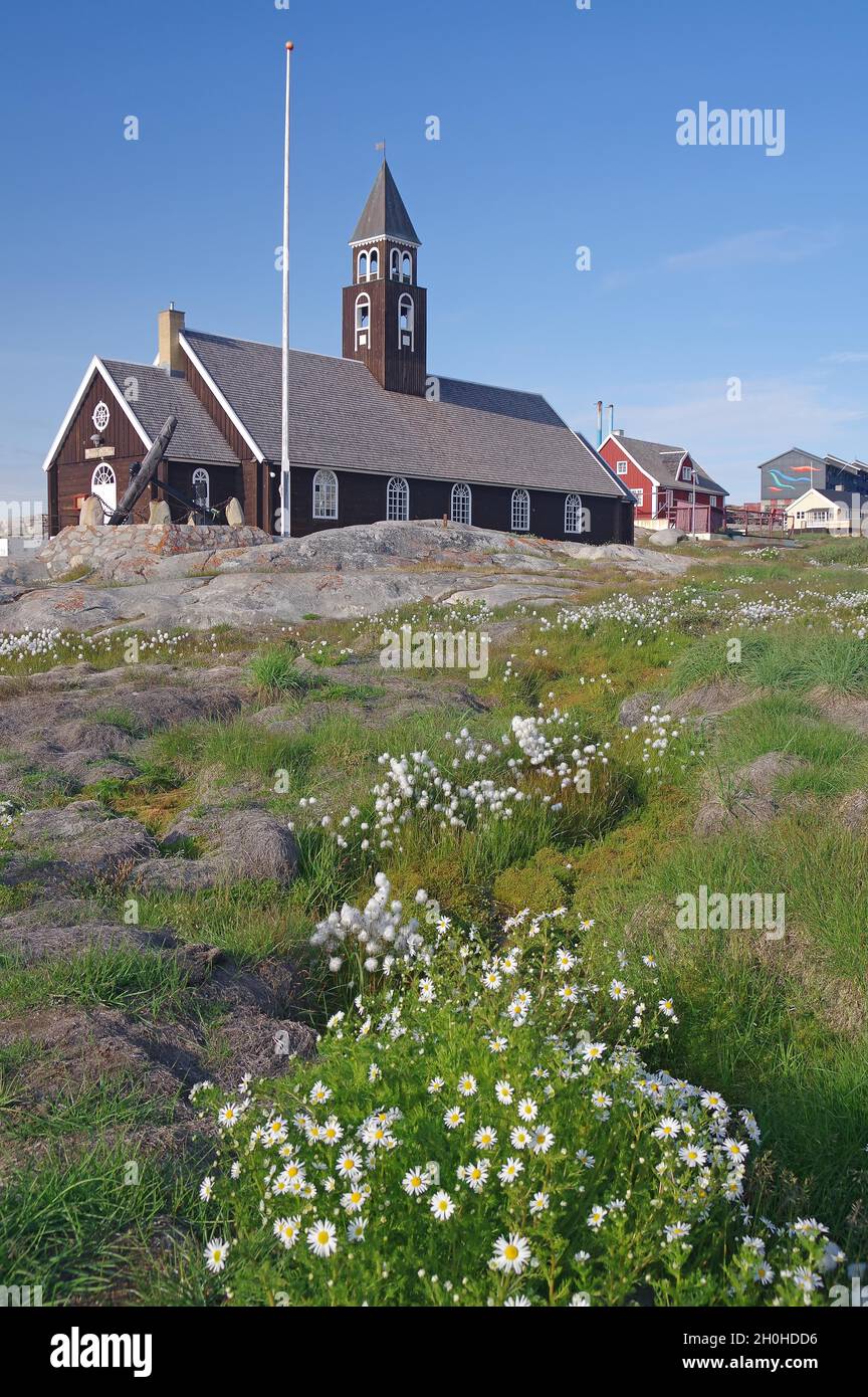Flowers and Wooden Church, Zion Church, Disko Bay, Ilulissat, West Greenland, Greenland, Denmark Stock Photo