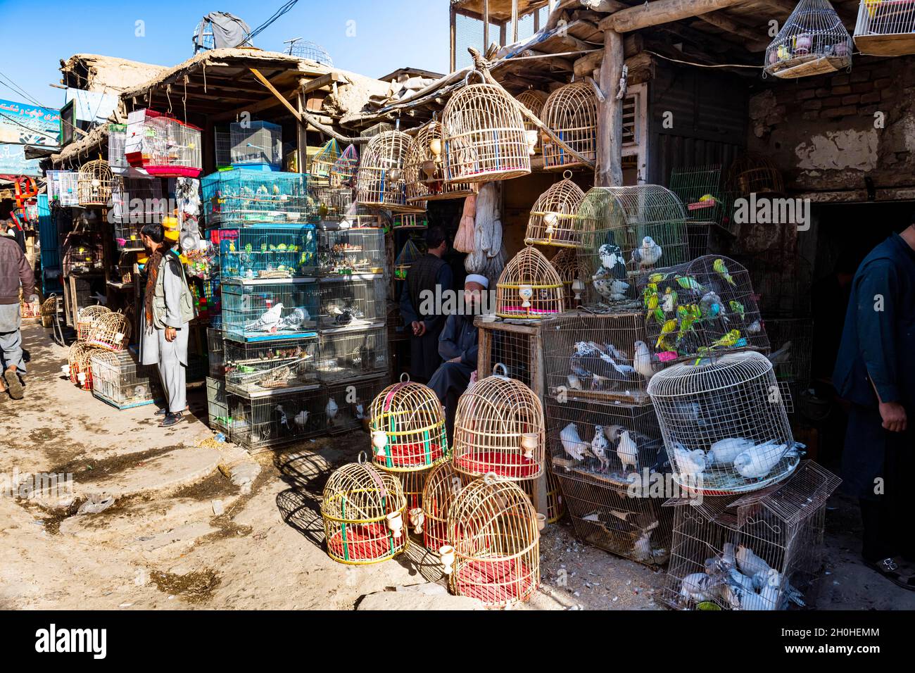 Birds for sale, Bird street, Kabul, Afghanistan Stock Photo