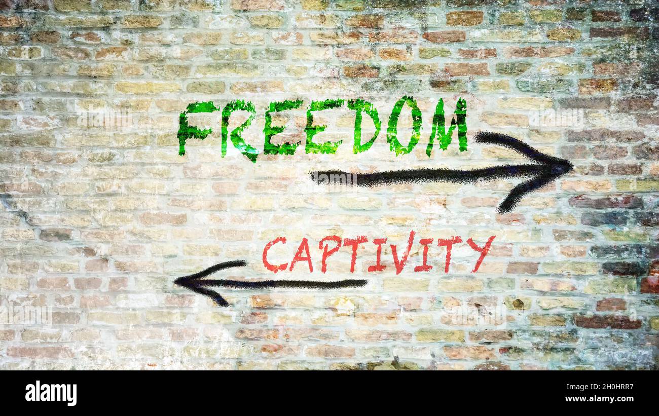 Street Sign the Direction Way to Freedom versus Captivity Stock Photo ...