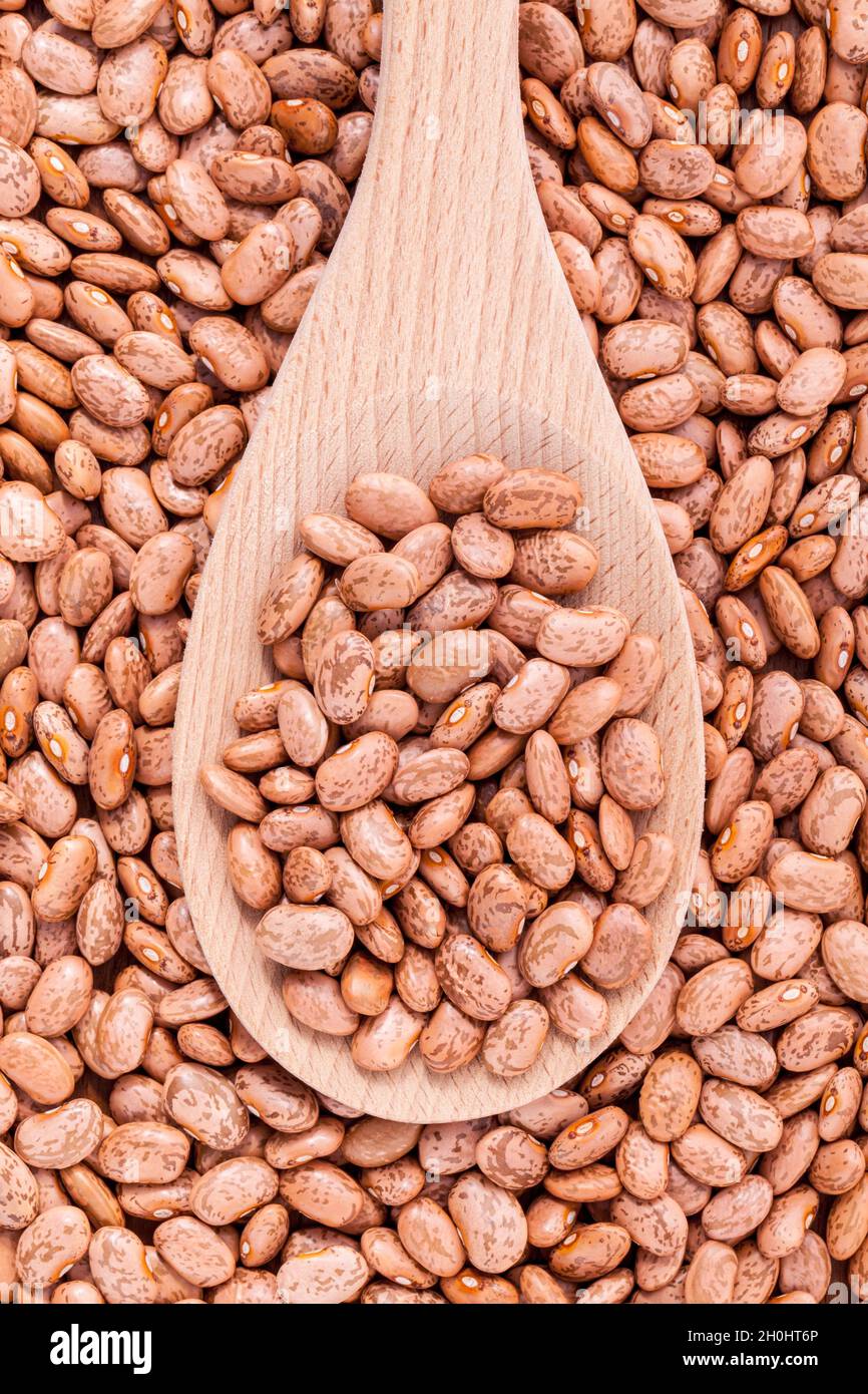 Brown pinto beans in wooden spoon and brown pinto beans  background. Stock Photo