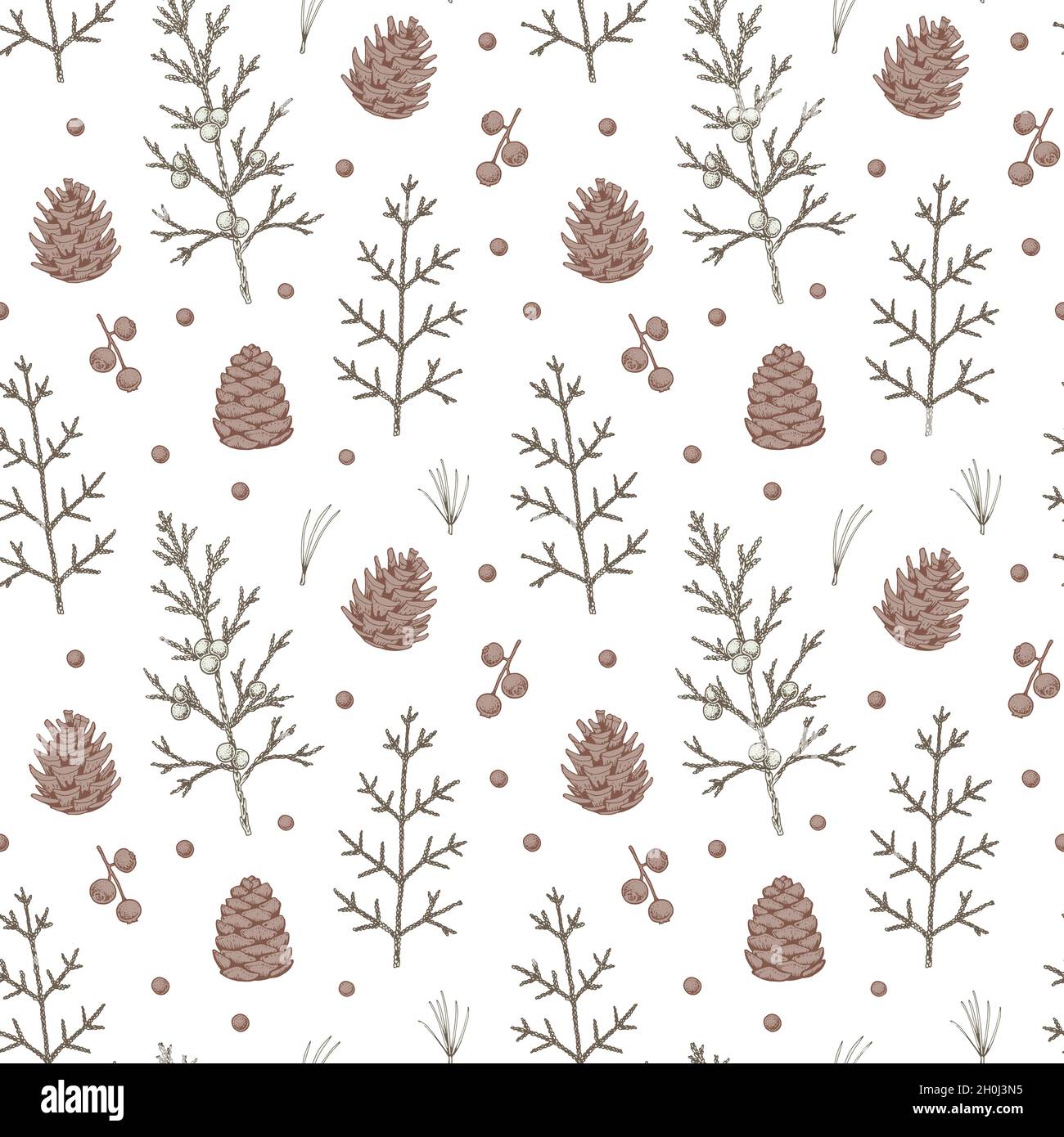 Christmas floral seamless patter with conifer cones and juniper branches. Hand drawn vector illustration Stock Vector