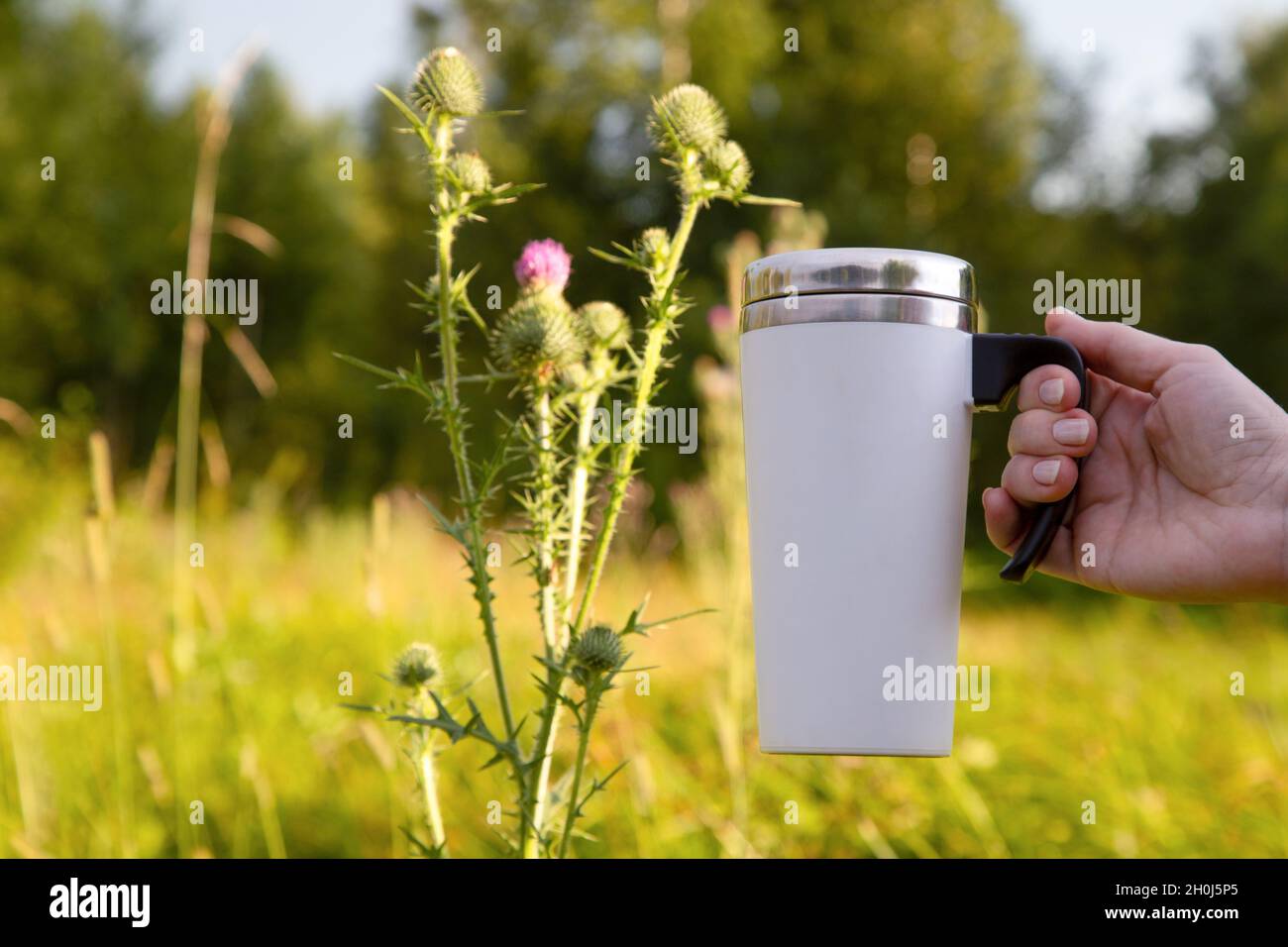 Mockup of a woman holding a white travel mug by a burdock flower. Empty mug mock up for design promotion. Stock Photo