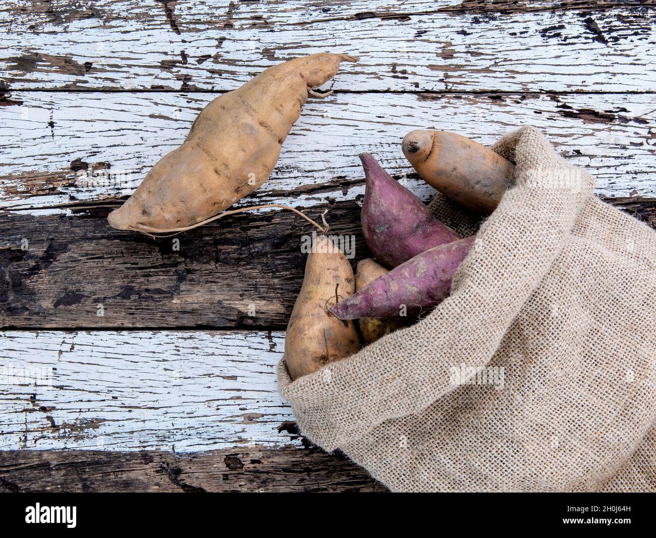 Harvested organic sweet potatoes in a hemp sack bag on rustic wood table. Stock Photo