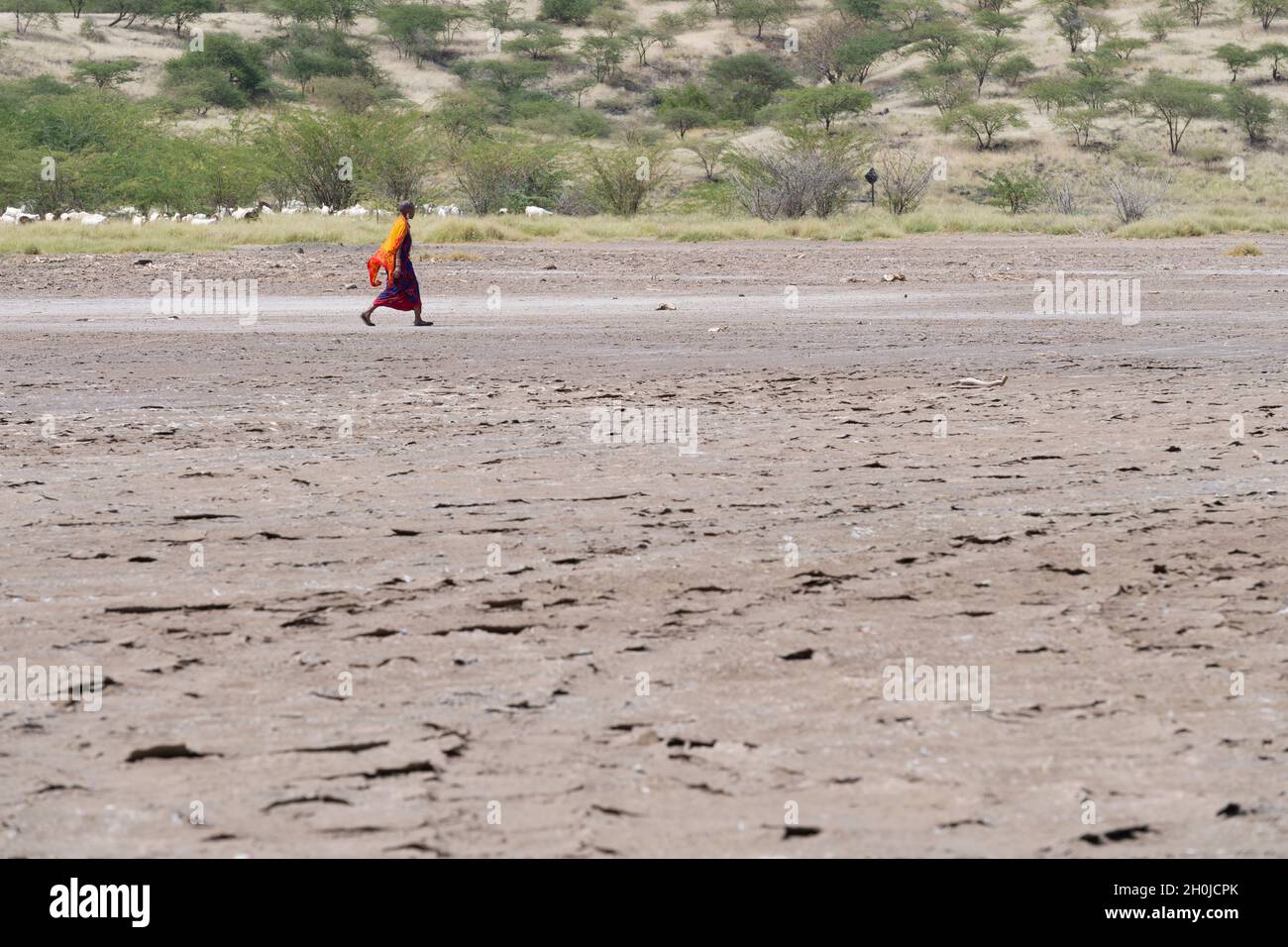 A Maasai woman walking along the dried up shores of Lake Magadi, Kenya. Lake Magadi is a saline, alkaline lake, approximately 100 square kilometers in Stock Photo