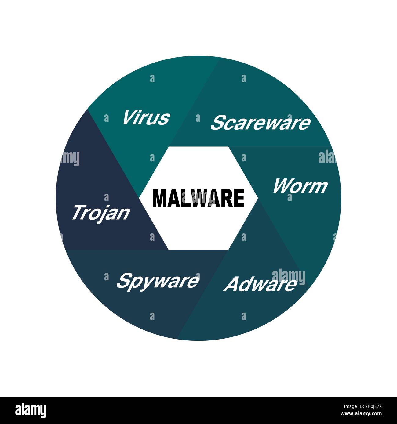 Diagram concept with Malware text and keywords. EPS 10 isolated on white background Stock Vector