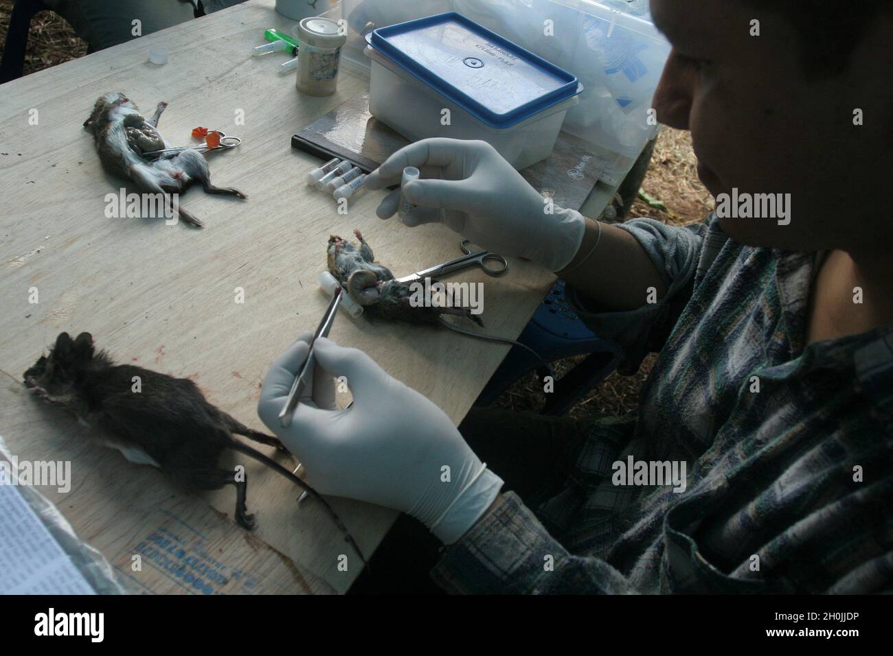 Dissection tools hires stock photography and images Alamy