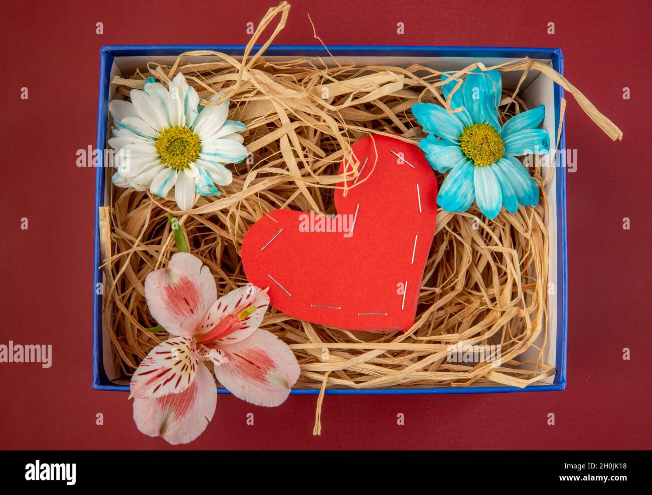 top view of colorful daisy flowers and pink alstroemeria with a heart made from red color paper and with straw in a blue present box on red background Stock Photo