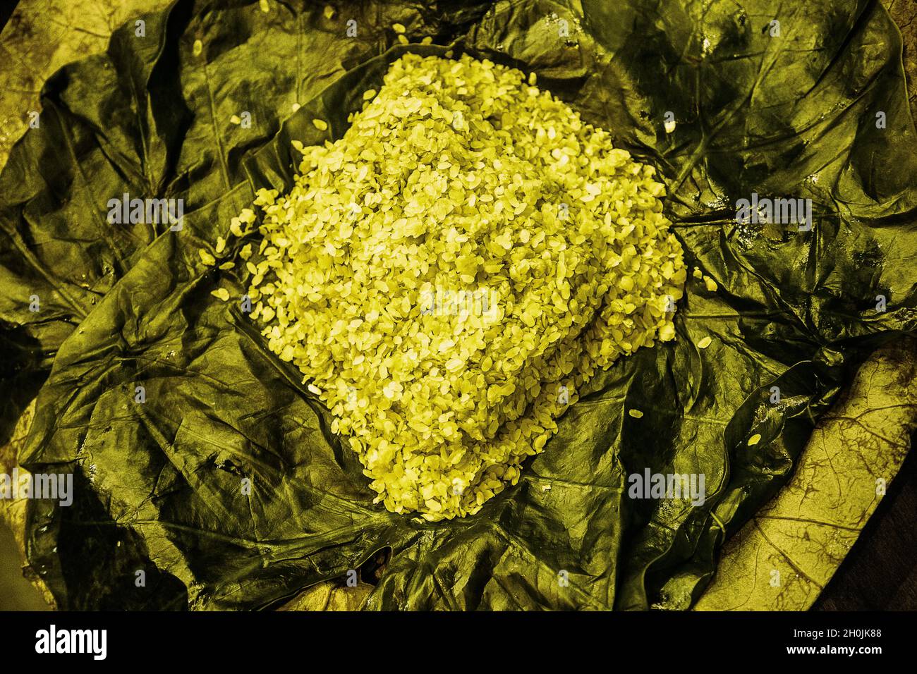 Green rice or green sticky rice grown in northern vietnam. Stock Photo