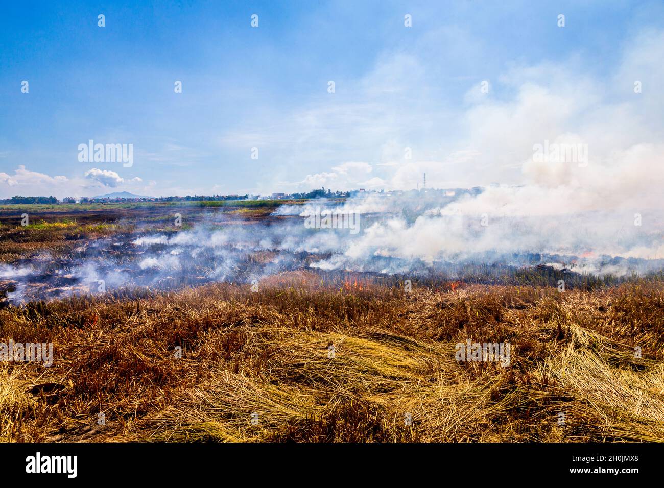 Smoke and fire in the rice fields of Hoi An, Vietnam after harvest