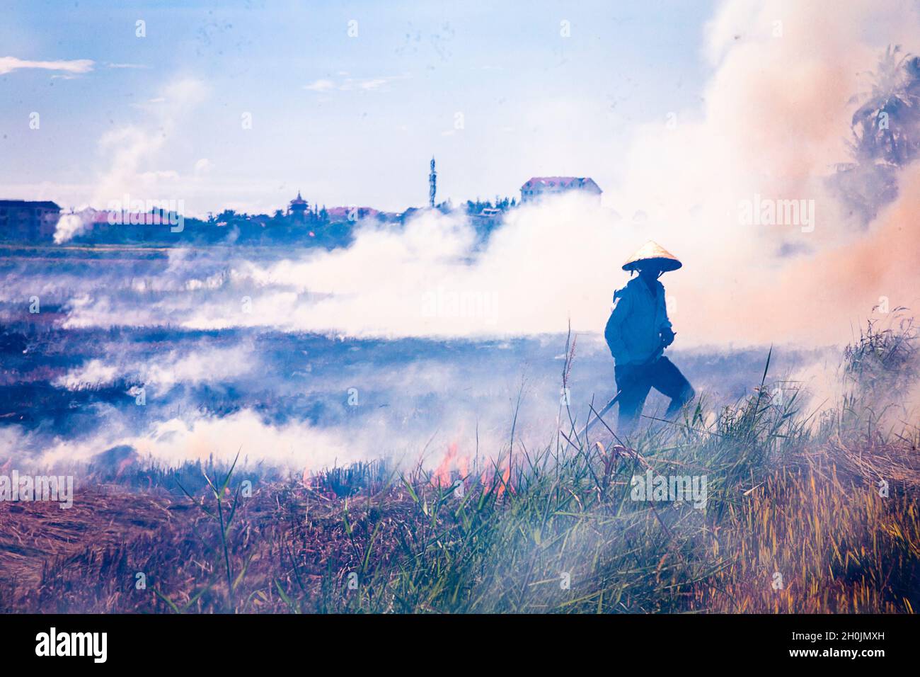 Rice farmer walks in his rice fields as straw burns from slash and burn teechniques prevail. Stock Photo