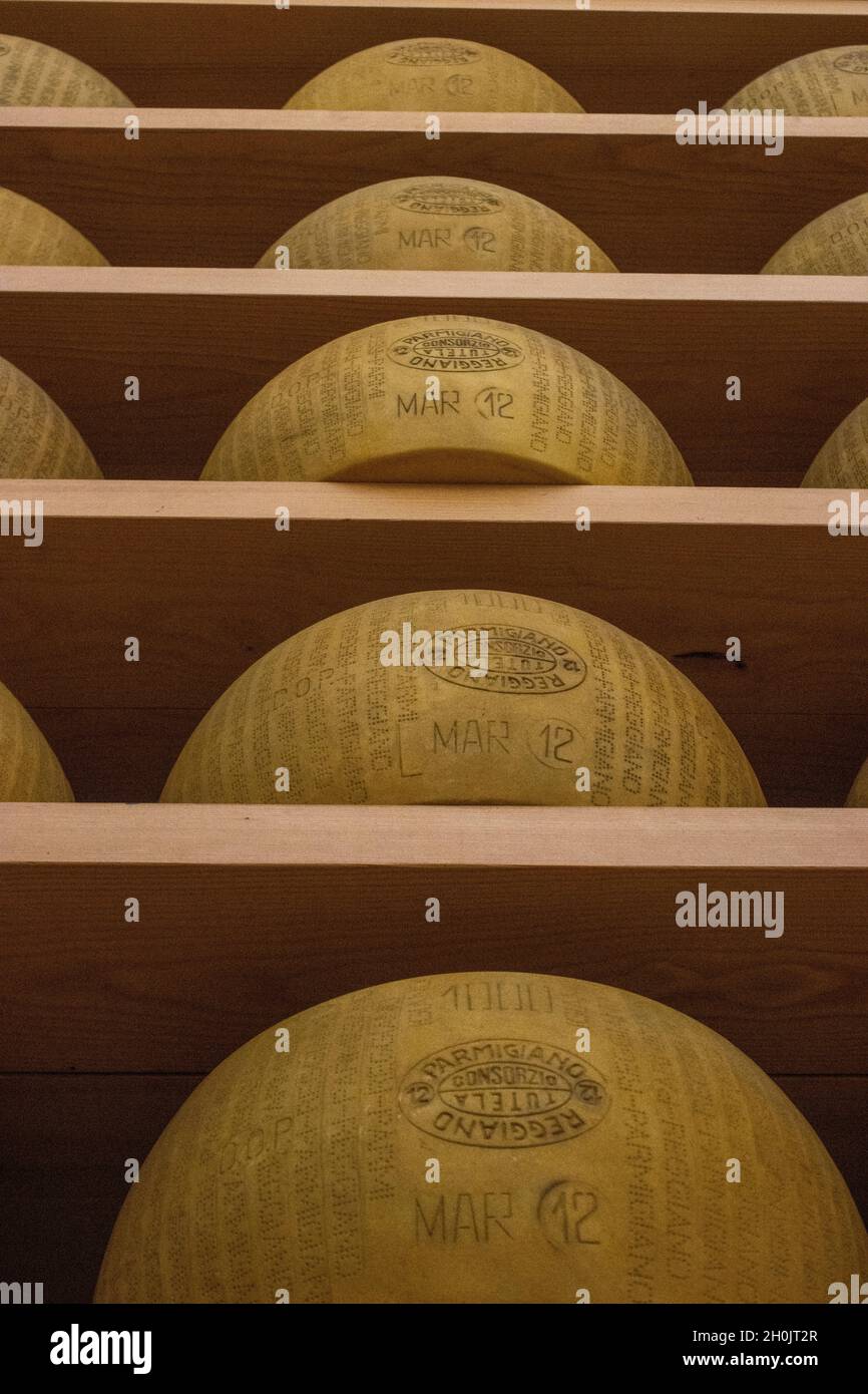 ParmigianoReggiano Parmesan cheese on shelves. In Bologna Italy Stock
