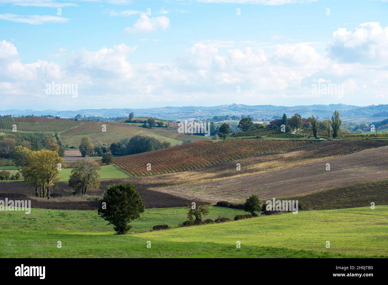 Italy, Piedmont, Monferrato, landscape around Ozzano Monferrato Stock Photo