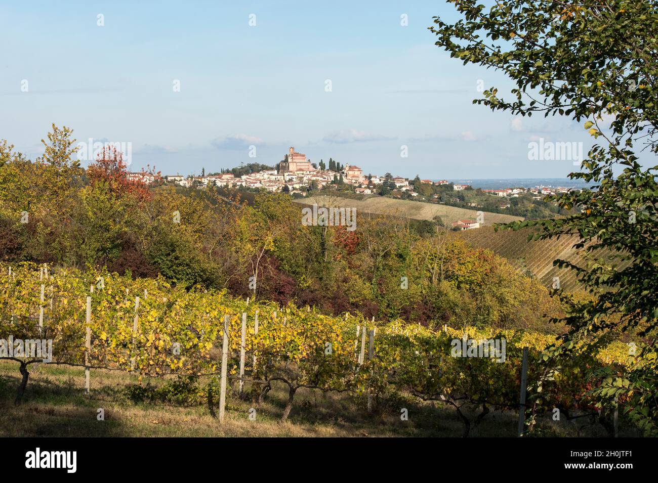 Italy, Piedmont, Monferrato, landscape with vineyards around Ozzano Monferrato Stock Photo