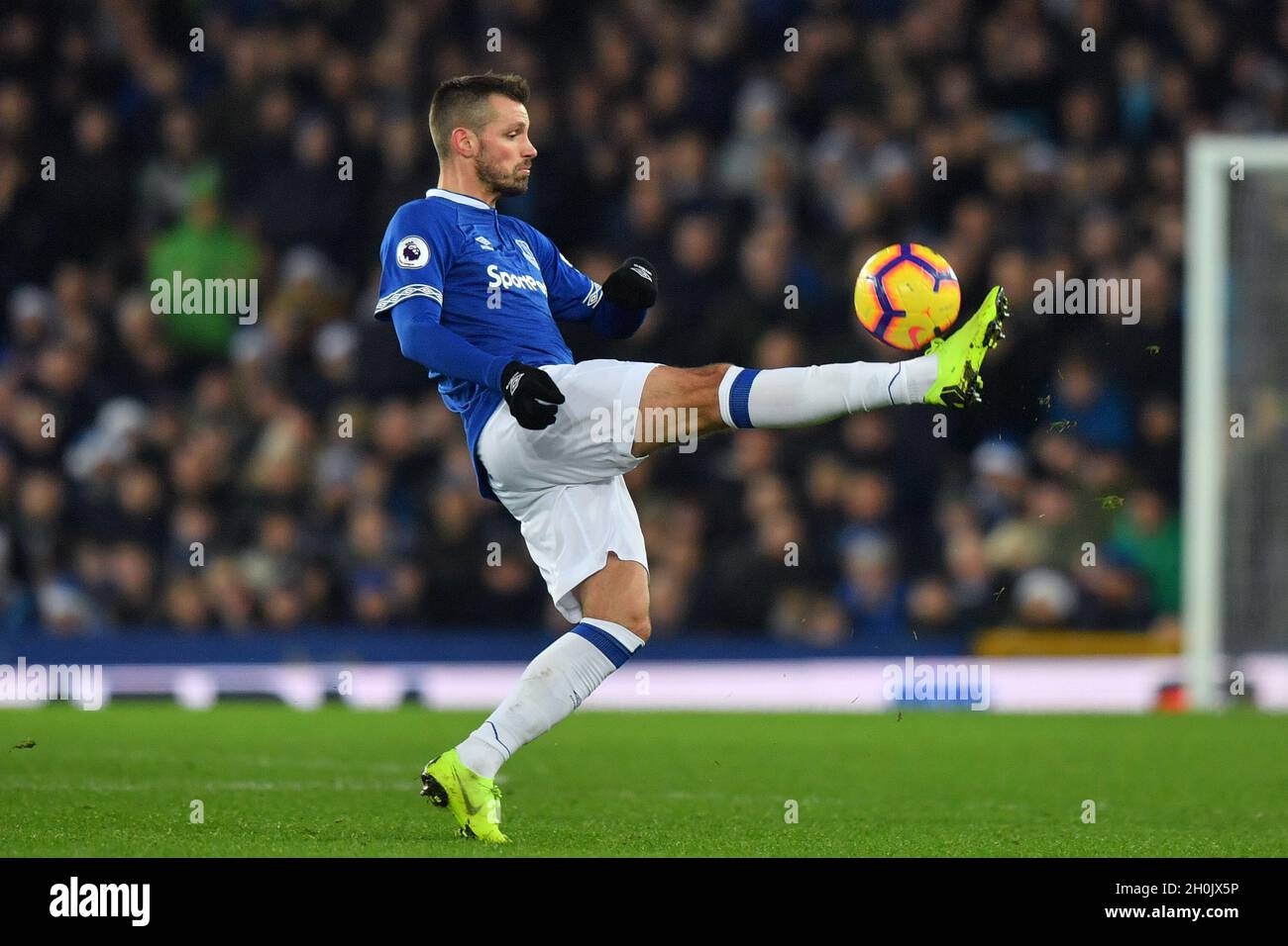 52 fotos de stock e banco de imagens de Schneiderlin And