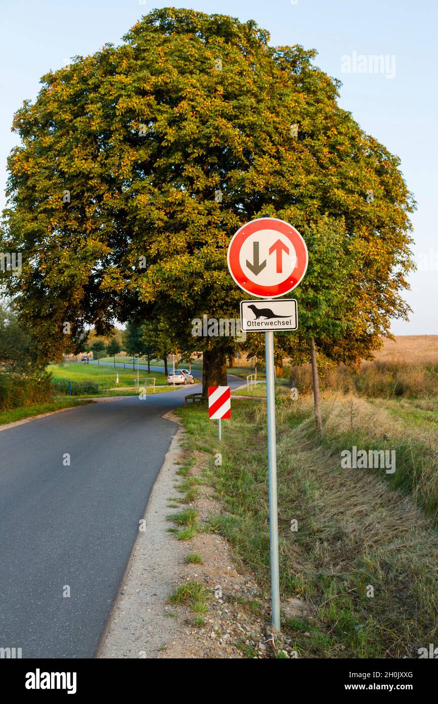 Priority traffic sign hires stock photography and images Alamy