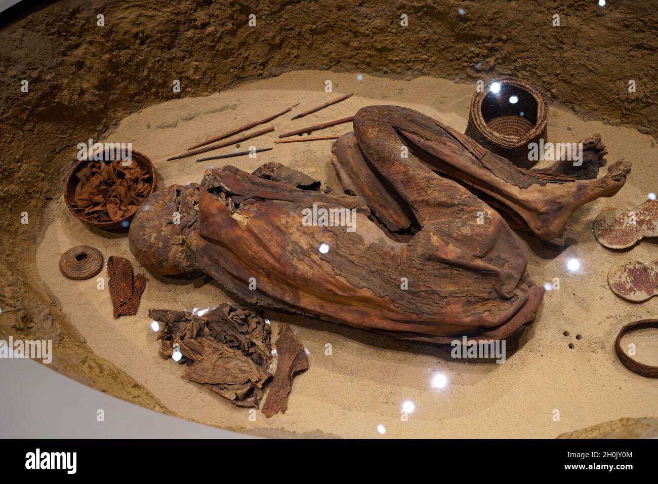 TURIN, ITALY - AUGUST 19, 2021: Mummy in fetal position. Mummification of one body during the Egyptian civilization, Egyptian Museum of Turin, Italy Stock Photo
