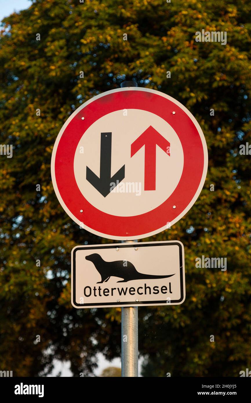 traffic sign priority in traffic for the contraflow and Otter crossing, Germany, Mecklenburg-Western Pomerania Stock Photo