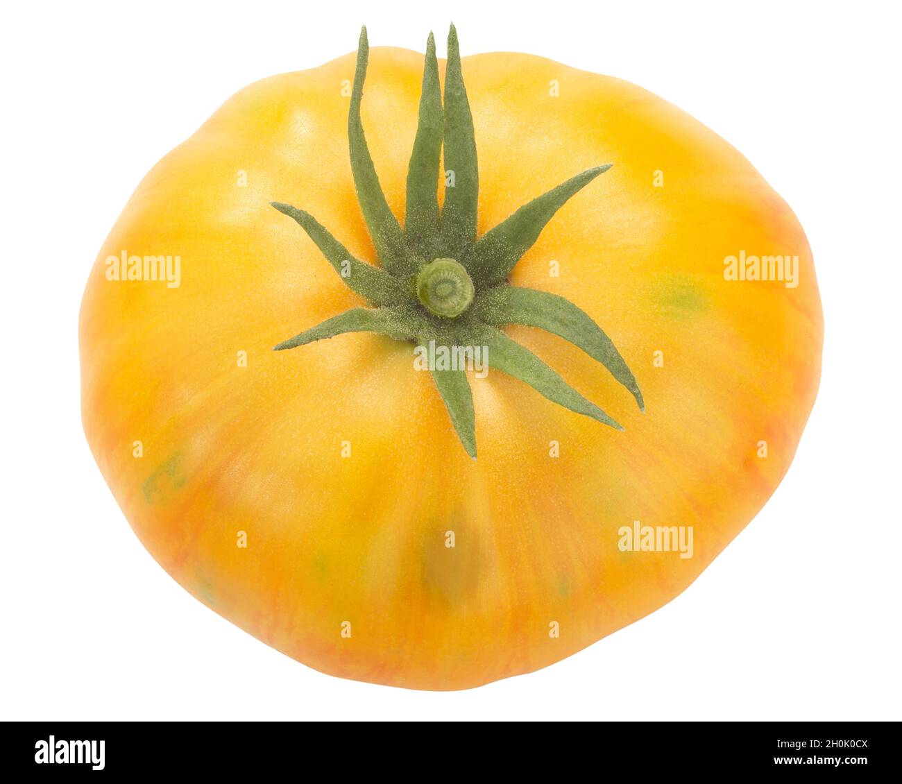 Marzipan Gold heirloom tomato, yellow w red streaks (Solanum lycopersicum fruit), isolated, top view Stock Photo