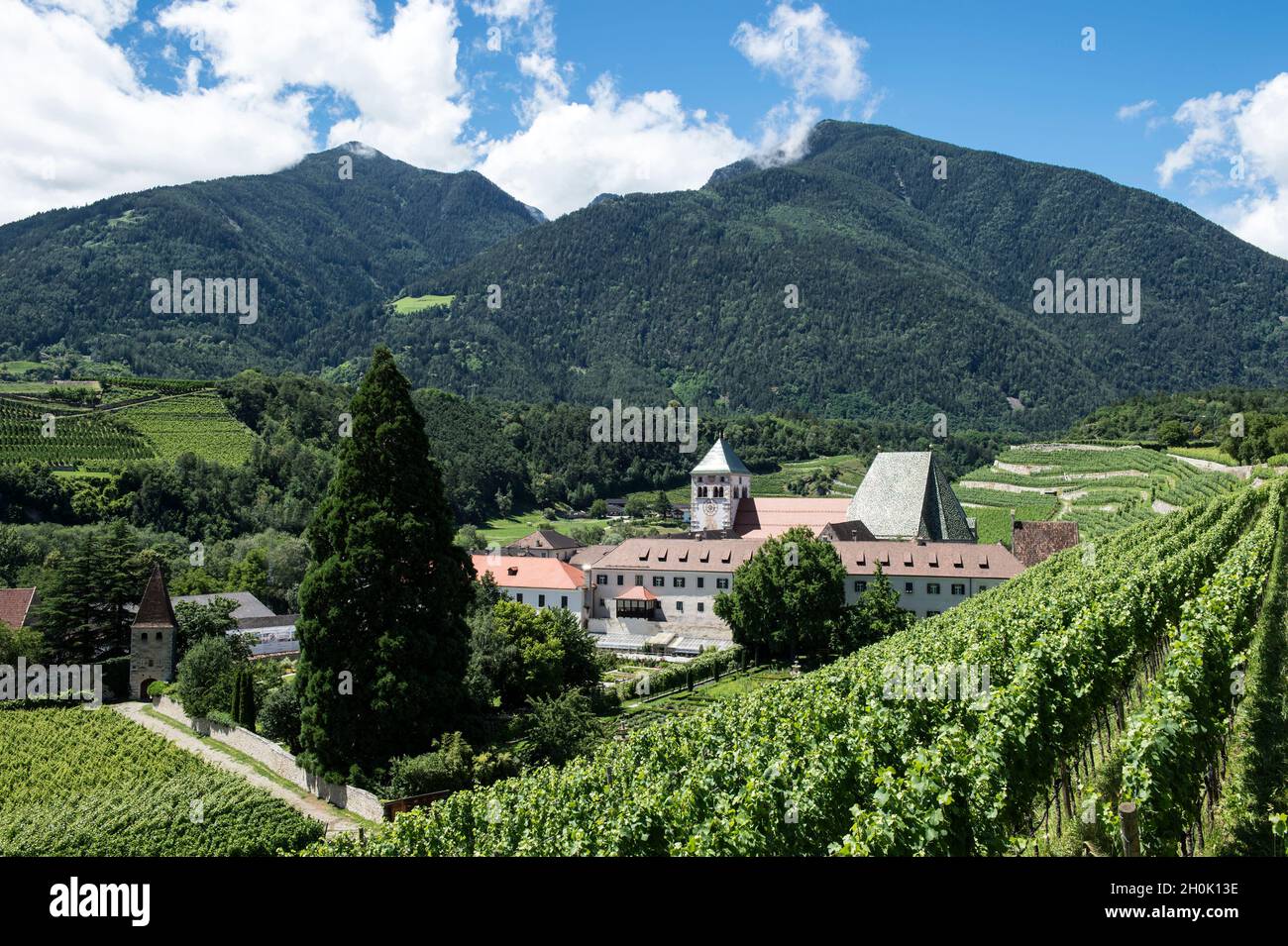 Italy, Alto Adige, Bressanone, Novacella Abbey and vineyards Stock Photo