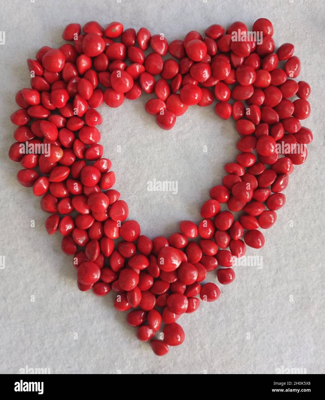 red heart shape saga seeds background border Stock Photo