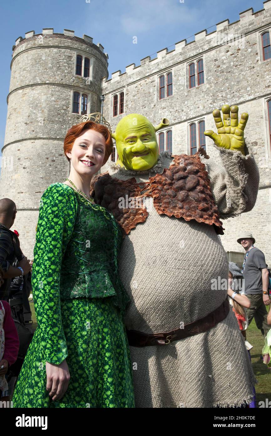 Shrek Fiona Castle