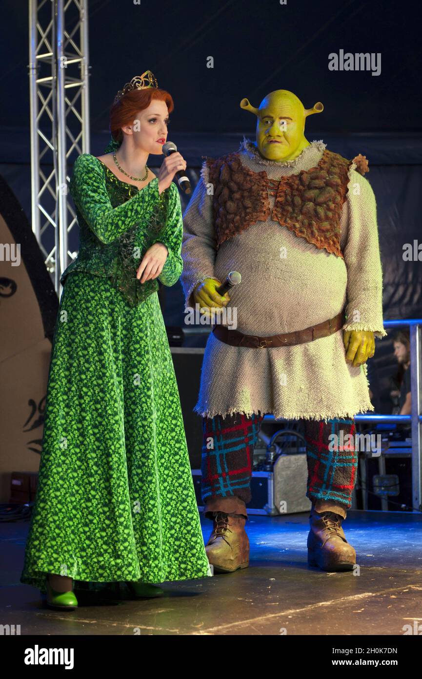 Shrek Fiona Castle